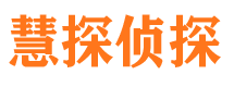 城关市侦探公司